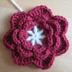 DIY Crochet Flowers10