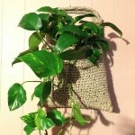 DIY Crochet Planter4