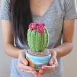 DIY Crochet Succulents6