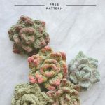 DIY Crochet Succulents8