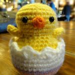 DIY Crochet Chick19