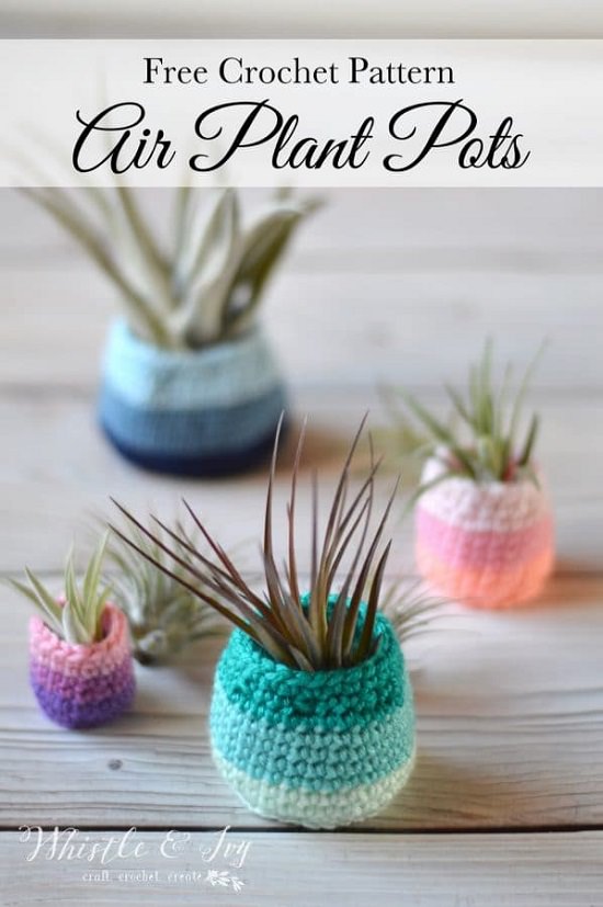 10 Exciting Crochet Air Plant Holder Patterns For Beginners Crocht