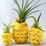 Lucky-Pineapple