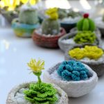 Amazing,Homemade,Product,For,Home,Decoration,,Group,Of,Succulent,,Cactus