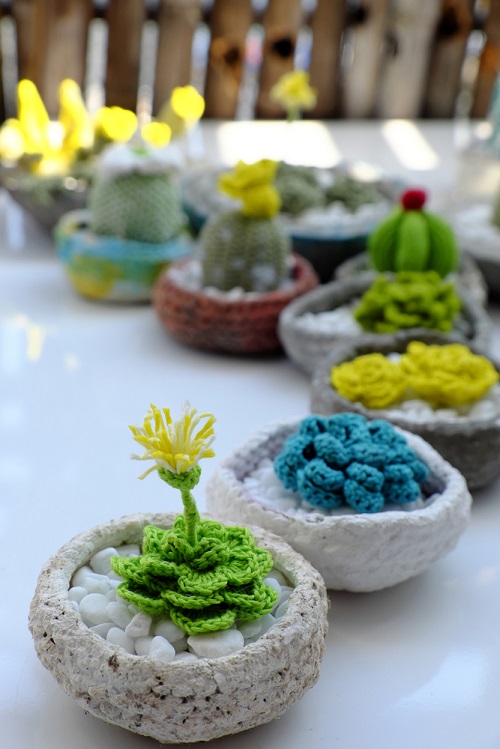 How to Make Crochet Succulents 1