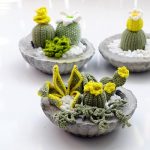 Amazing,Homemade,Product,For,Home,Decoration,,Group,Of,Succulent,,Cactus
