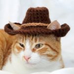 Cat Cowboy Hat Crochet Pattern