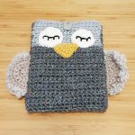 Owl_kindle_cover1_small2