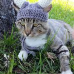 kitty-cat-viking-hat-01