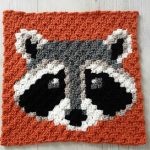 Racoon C2C Square – Free Crochet Pattern
