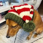 Dog Christmas Hat Pattern