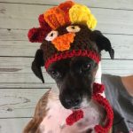 Small Dog Turkey Hat Free Crochet Pattern
