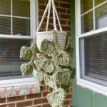 Crochet Mini Hanging Money Plant 1