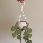 Crochet Mini Hanging Money Plant