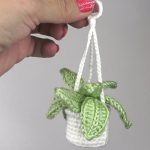 Easy Mini Hanging Crochet Plant