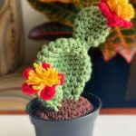 Crochet Bunny Ear Cactus