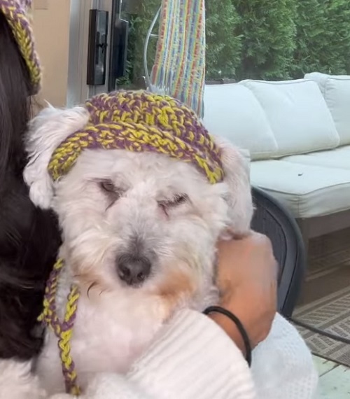 Crochet Dog Bucket Hat3 Crocht