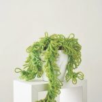 Crochet Donkey’s Tail Free Pattern