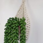 DIY Crochet Plant Hanging Basket 2