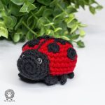 mini ladybug