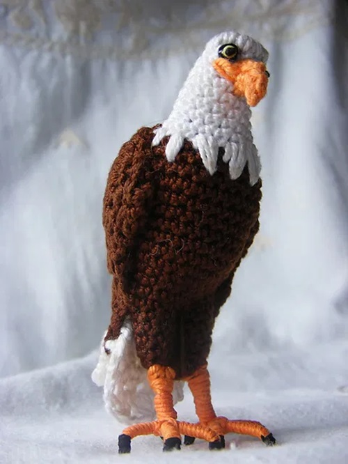 Bald Eagle