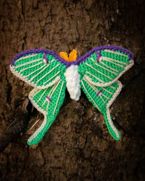 luna-moth