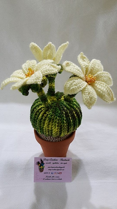 Stunning Unique Cactus Crochet Patterns