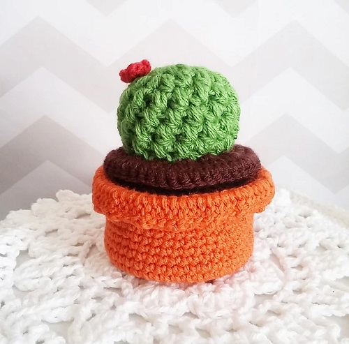 DIY Cactus Crochet Ideas 2