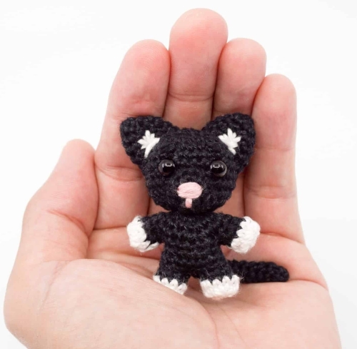 Cat With Mini Nose