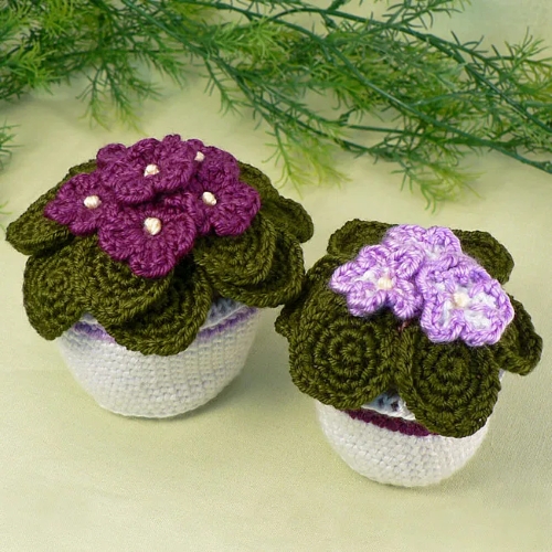 Lovely African Violets
