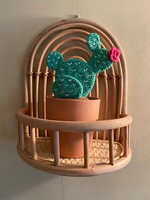 DIY Cactus Crochet Ideas 3