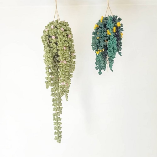 hanging succulent plant crochet pattern