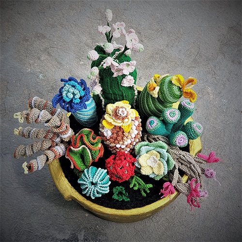 beautiful succulent garden crochet pattern