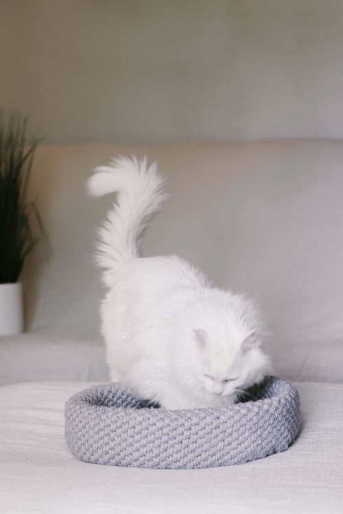 fluffy cat bed