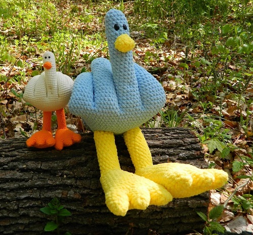 funny ducks