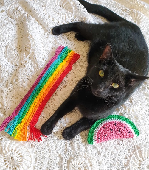 Watermelon catnip cat toy