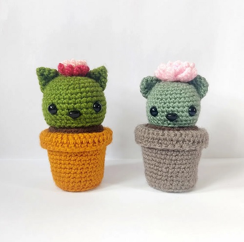 Cactus Cat