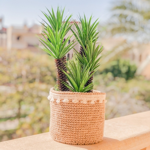 Crochet Plant Decorative Basket