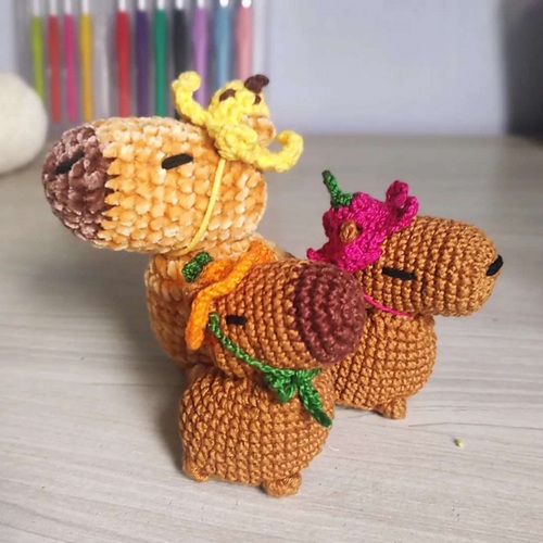 Tapioca the Capybara is here