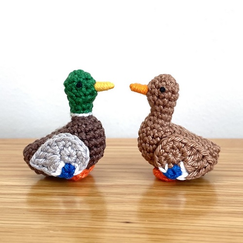 Mallard Ducks