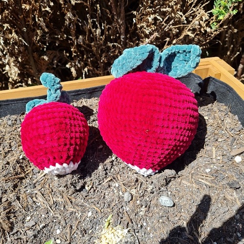 big radish