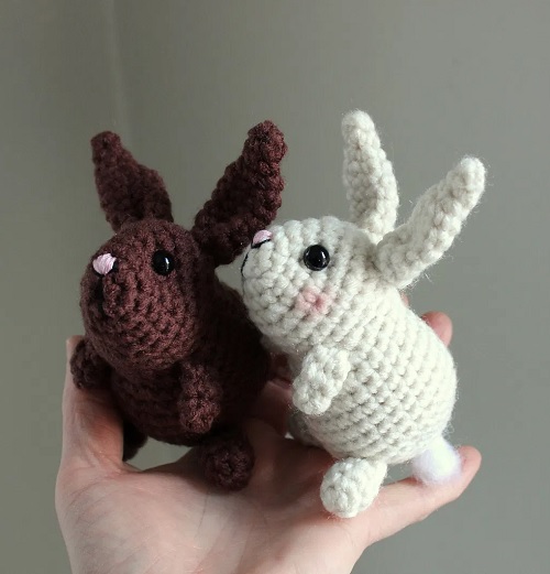 Pocket Bunny