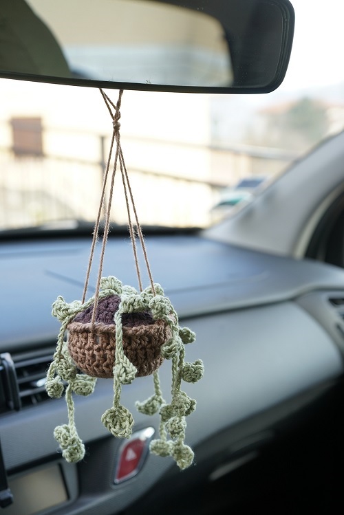 hanging plant with flower