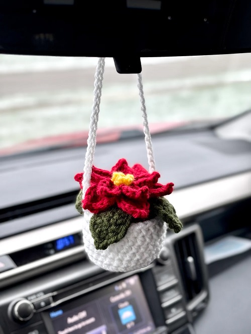 Poinsettia Car Hanging Plant
