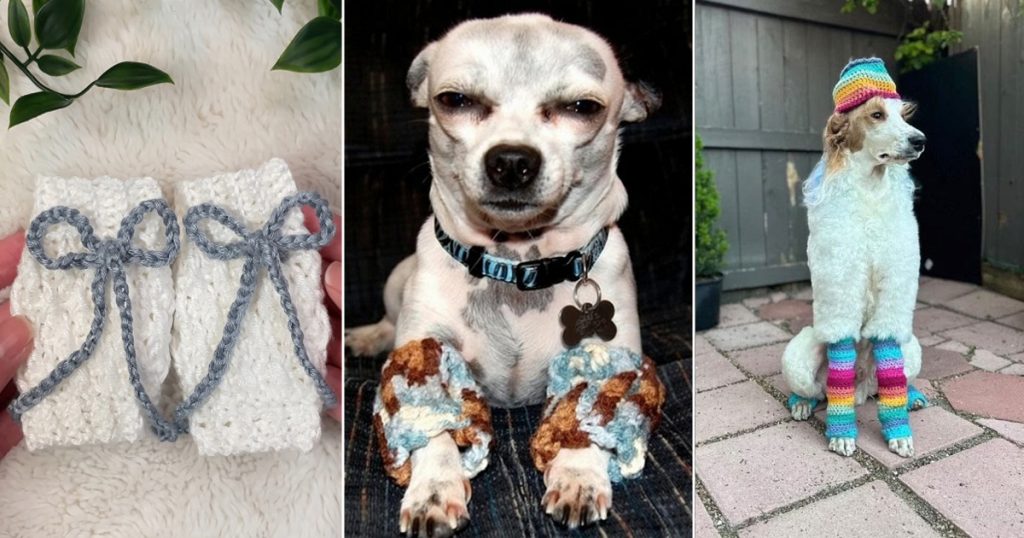 5 Crochet Dog Leg Warmer Free Patterns - Crocht