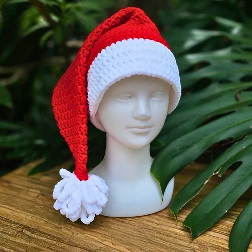 Crochet a Santa Hat