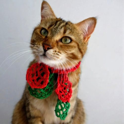 crochet scarf for cats 5