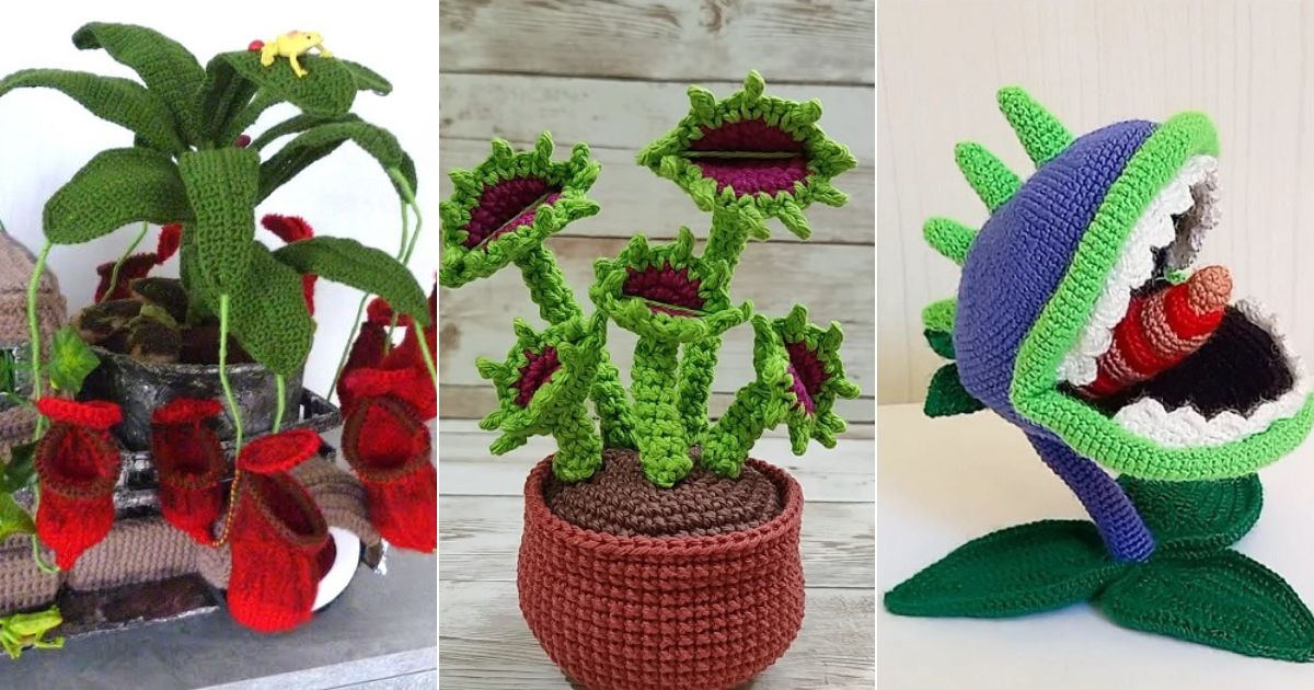 9 Crochet Carnivorous Plant Free Patterns - Crocht