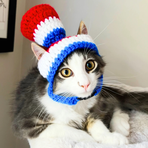 19 Memorial Day Free Crochet Patterns